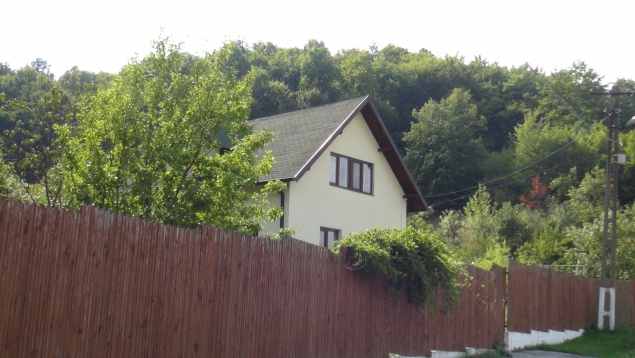 vila calinescu
