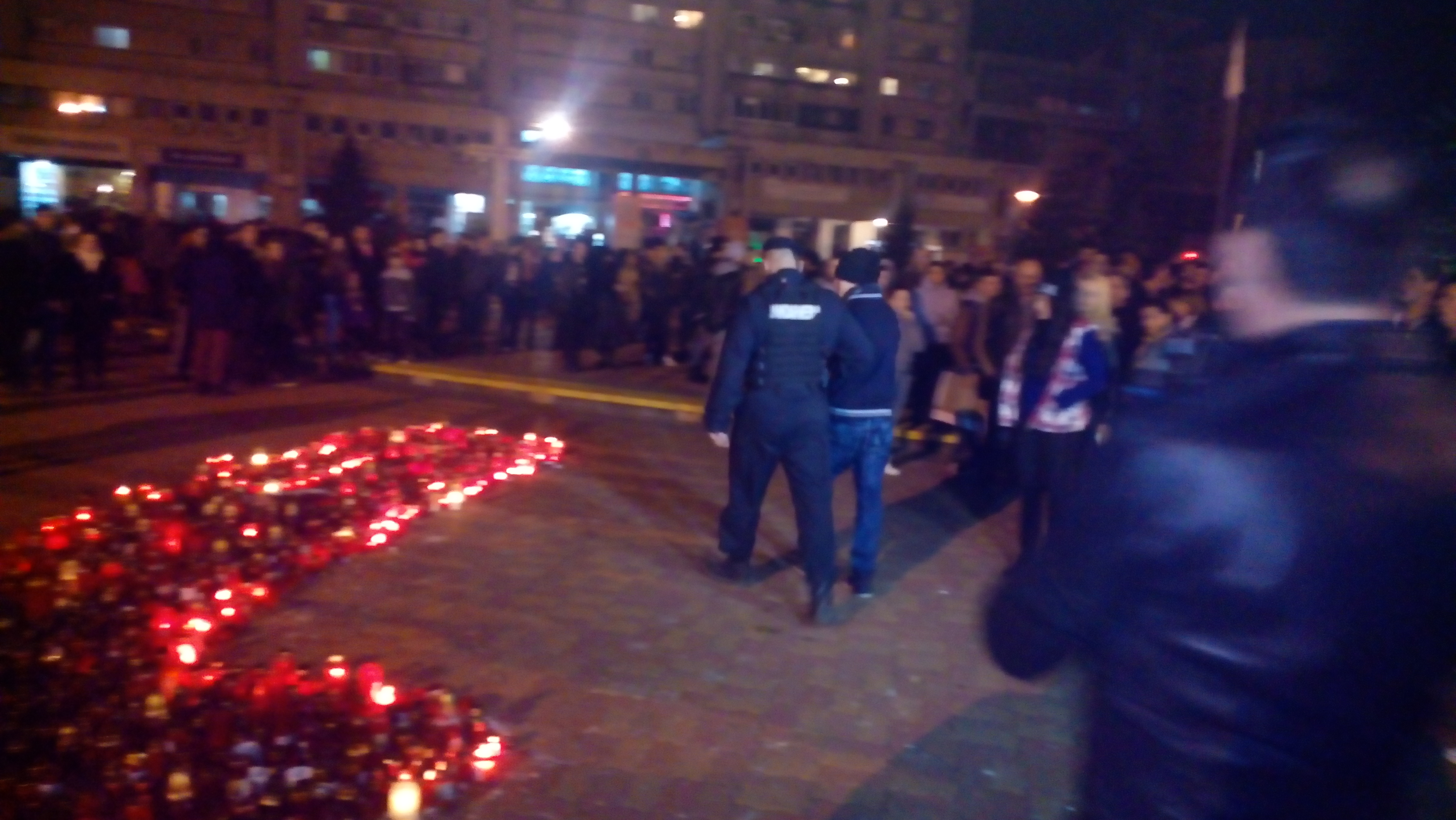 protest colectiv - pitesti (1)