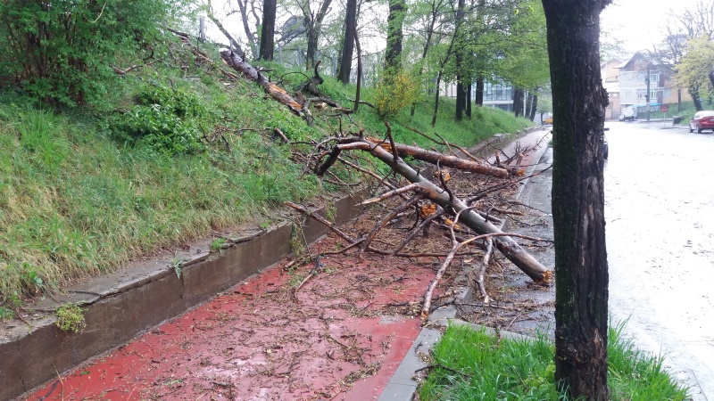 pom cazut in pitesti