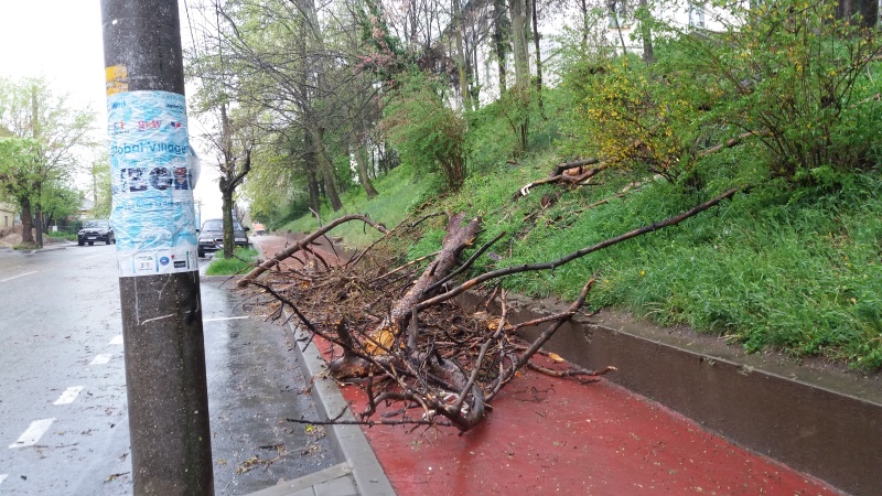 pom cazut in pitesti2