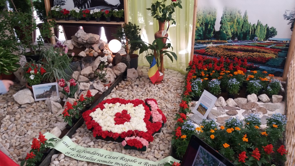 simfonia lalelelor, expozitie casa cartii (19)