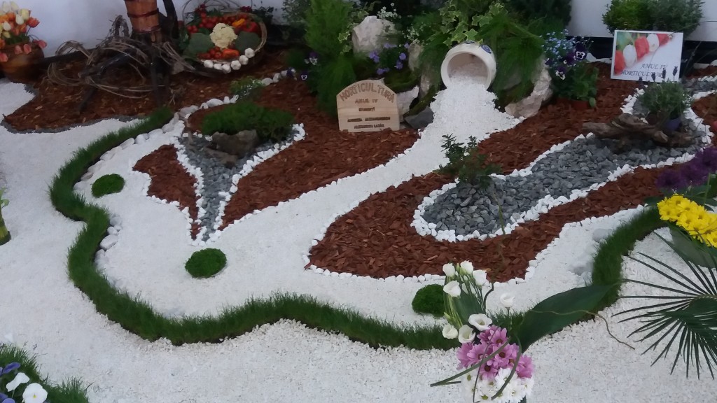 simfonia lalelelor, expozitie casa cartii (5)