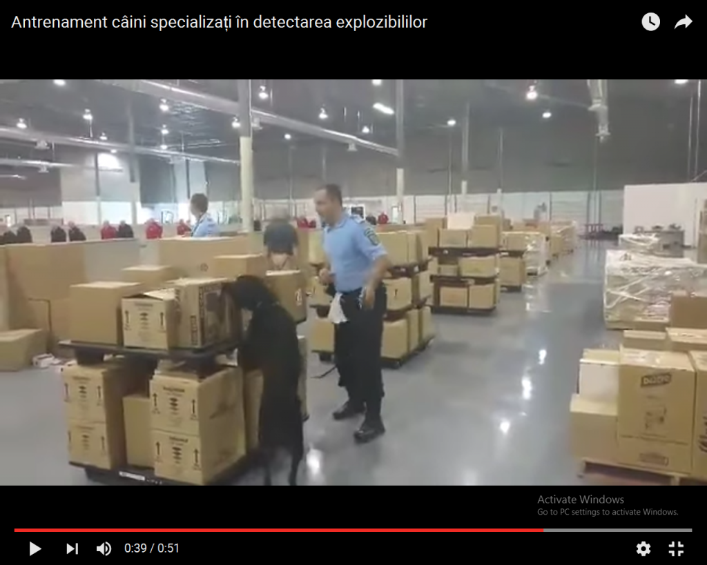 caini specializati detectarea explozibililor (1)