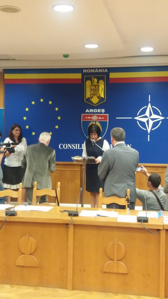 cj arges vot constituire - simona bratulescu