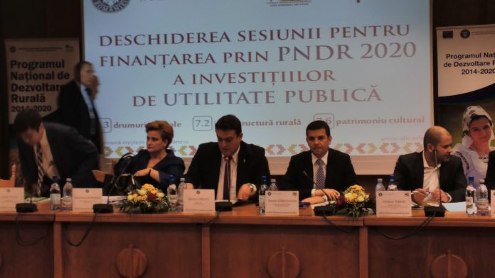 gratiela gavrilescu, primari, daniel constantin (13)