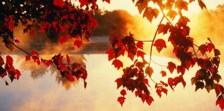 VREME CALDĂ pentru perioada din calendar. Iată prognoza pentru trei zile