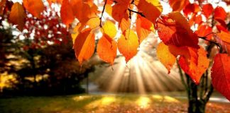 Cum va fi VREMEA în această toamnă. Temperaturi NEAȘTEPTATE