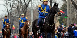 Acum. ATENTAT cu BOMBA dejucat la manifestarile ocazionate de 1 Decembrie! A fost retinut un barbat