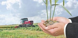 Fermierii isi vor primi banii! APIA Arges a facut anuntul