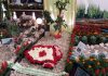 Expozitia florala de la Casa Cartii, o frumusete! Vizitati-o in IMAGINILE urmatoare!
