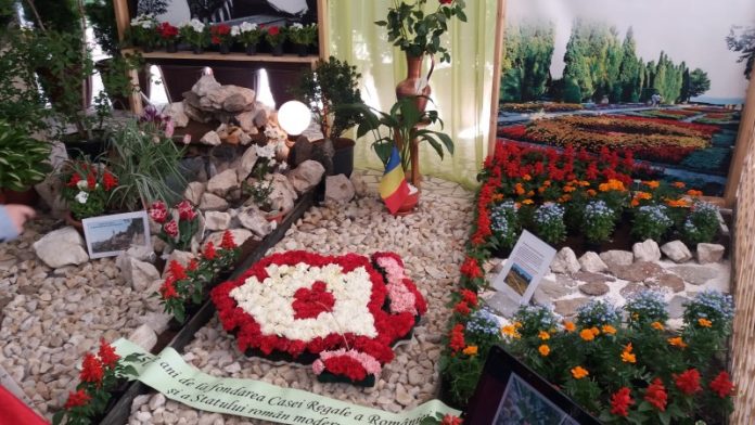 simfonia lalelelor, expozitie casa cartii (19)