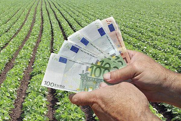 plati agricultura