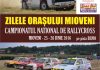 Competitii sportive de Zilele Orasului Mioveni: Campionatul Naţional de Rallycross