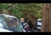 VIDEO. Vezi cum s-a intervenit pentru scoaterea unui sofer dintre fiarele masinii! A durat o ora