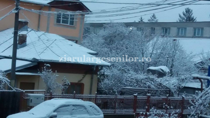 ninge-pitesti-1
