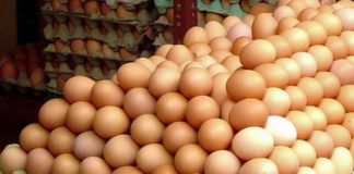 Protecția Consumatorului Argeș: NEREGULI privind comerțul de OUĂ în marketuri din Pitești