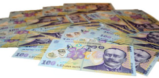 BANI de la stat pentru fermieri! In Arges au inceput deja intalnirile zonale. Ajutor SUBSTANTIAL