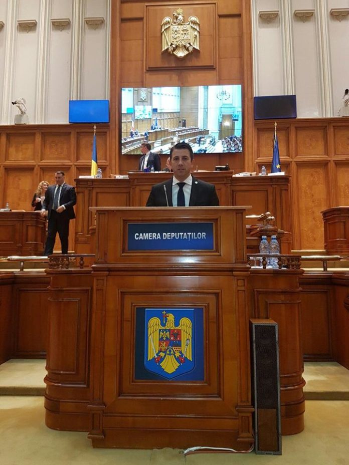 nicolae georgescu