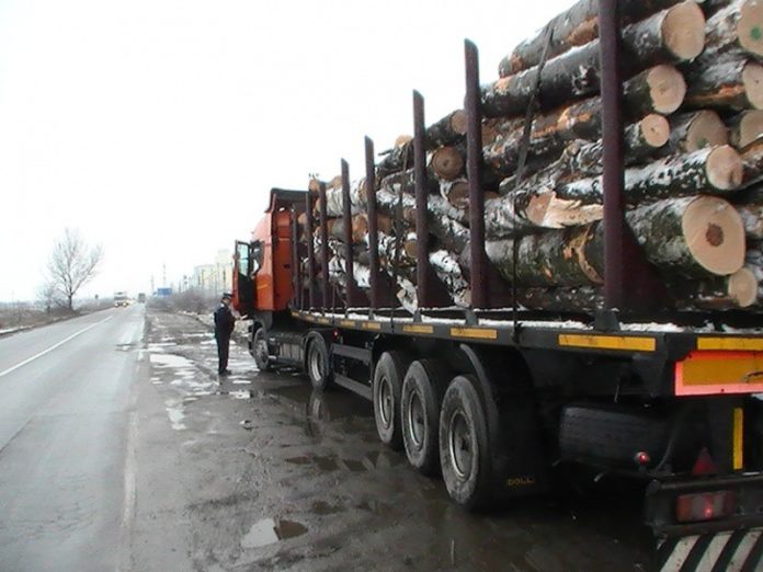 tir lemne