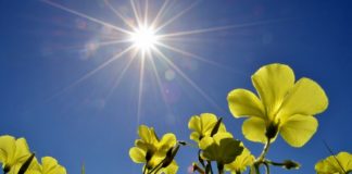 VEȘTI BUNE de la meteorologi!