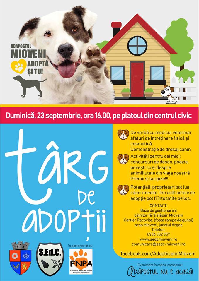 targ de adoptii