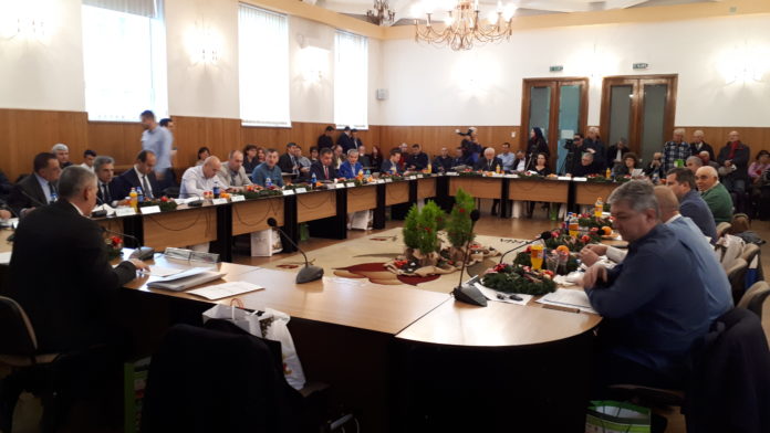 CONSILIUL LOCAL - PRIMĂRIA PITEȘTI (26)