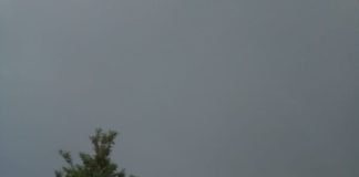 ACCIDENT pe A1, cu 6 MAȘINI și un autotren! 3 VICTIME