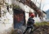Mai multe animale arse de vii! Incendiu la un adăpost de animale. Vezi IMAGINILE