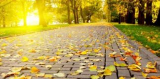 Anunț meteo. Cât mai ține vremea bună! De când apar ploile și ninsorile