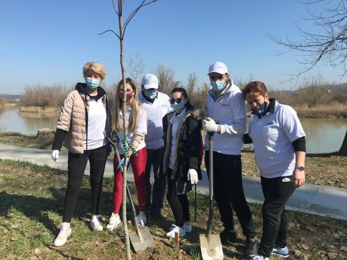 voluntariat pitesti.