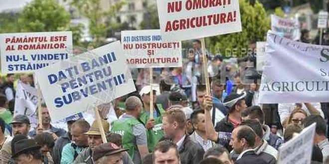 agricultura