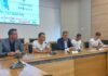 Pitesti marathon sportiv