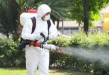 PITESTI: Tratamente fitosanitare în toate zonele verzi ale orașului. Program