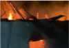 Circa 50 de iepuri surprinsi in incendiu, noaptea trecuta! Nu au mai scapat