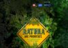 Actiuni ample de ecologizare in mai multe zone din Pitești! „Let`s Do It, Romania”