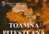 In curand! “Toamna pitesteana” si Street Food Festival, in centrul Pitestiului