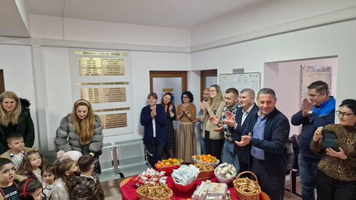 Bradu craciun (2)