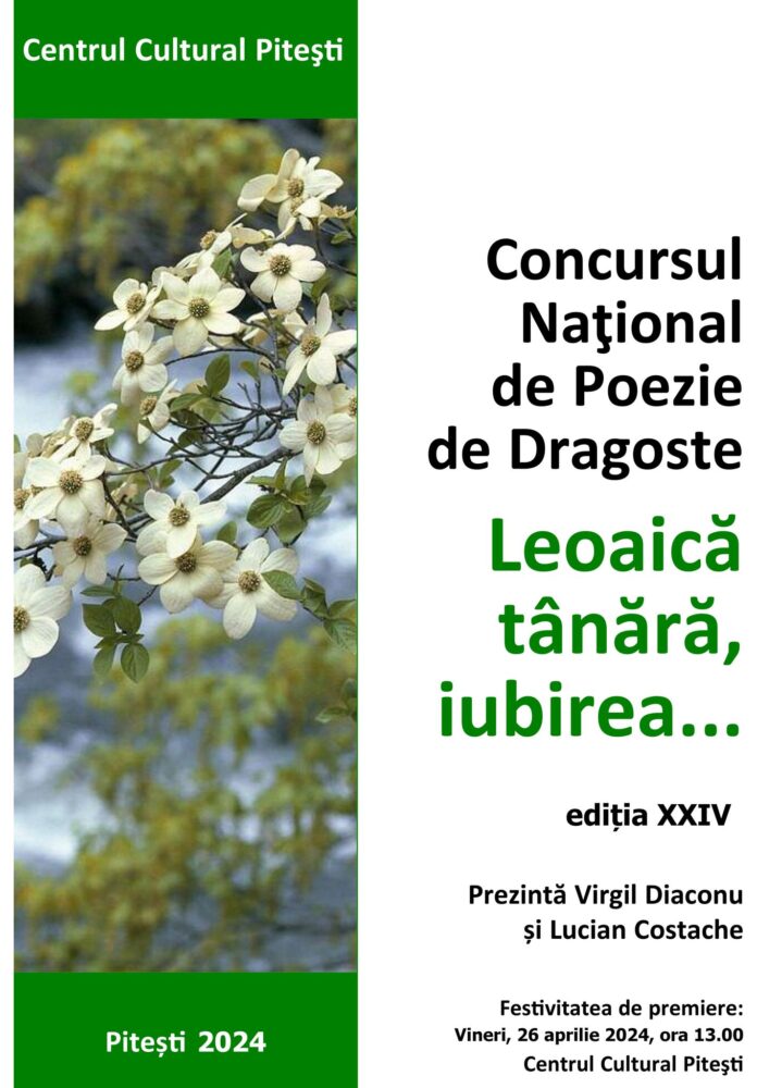 leoaica tanara iubirea concurs