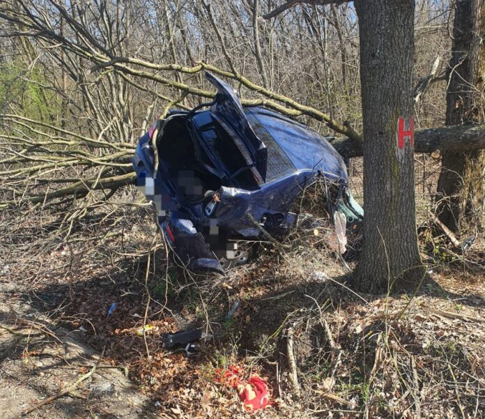 accident pom (1)