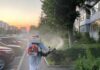 Incepand de azi, stropiri contra dăunătorilor plantelor, la Pitești!