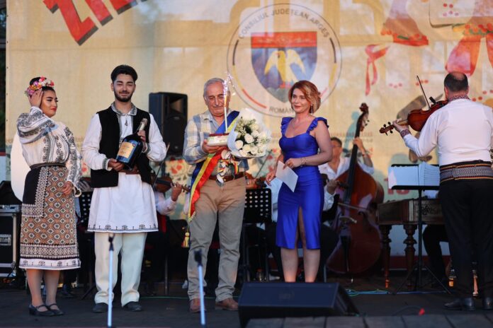 zilele orasului topoloveni.. (2)