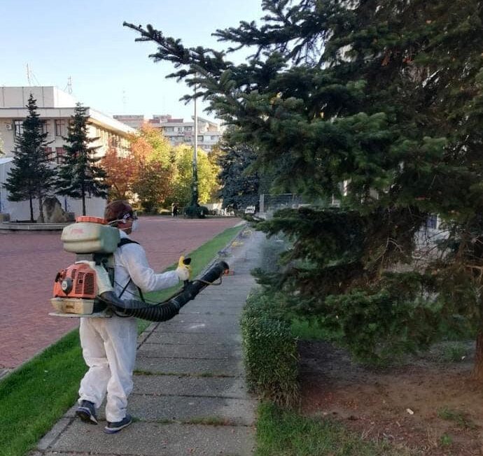 tratamente fitosanitare pitesti