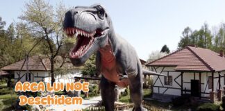 „Arca lui Noe” se DESCHIDE cu veselie și aventură de Ziua Copilului! Parc de distracții UNIC in Arges