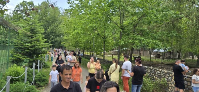 gradina zoologica din Pitesti (5)
