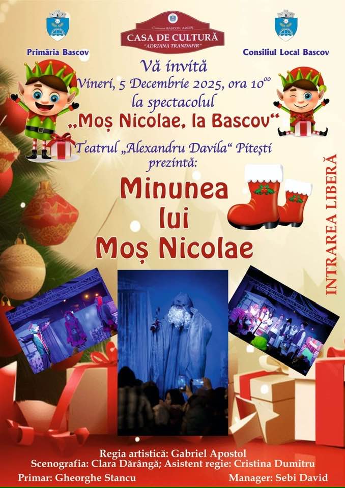 bascov mos nicolae