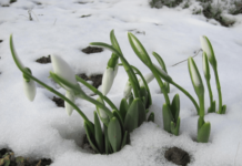 Nu te așteptai la asta! Cum va fi vremea în luna martie, potrivit meteorologilor
