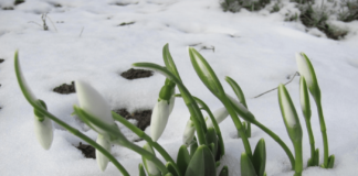 Nu te așteptai la asta! Cum va fi vremea în luna martie, potrivit meteorologilor