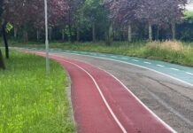 Vești bune pentru iubitorii de mișcare!